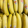 Fresh Plantains